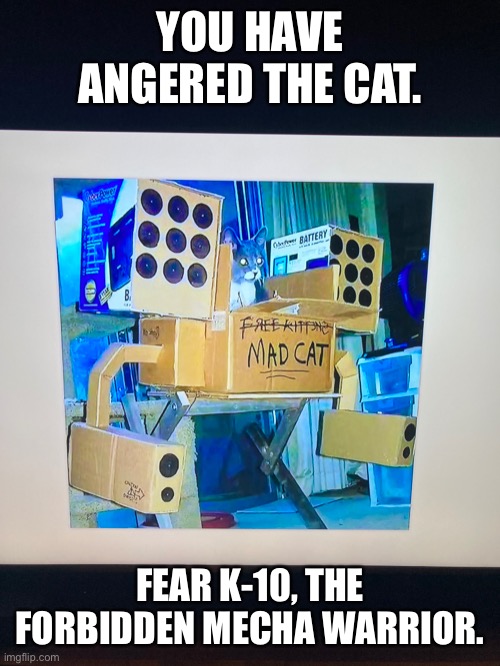 why do I hear boss music | YOU HAVE ANGERED THE CAT. FEAR K-10, THE FORBIDDEN MECHA WARRIOR. | image tagged in why do i hear boss music,oh no | made w/ Imgflip meme maker