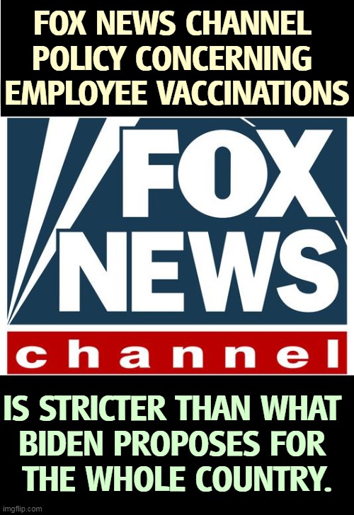 Yup, everybody you see on Fox has had two shots. That includes Tucker Carlson. How about you? | FOX NEWS CHANNEL 
POLICY CONCERNING 
EMPLOYEE VACCINATIONS; IS STRICTER THAN WHAT 
BIDEN PROPOSES FOR 
THE WHOLE COUNTRY. | image tagged in fox news,vaccine,everybody | made w/ Imgflip meme maker