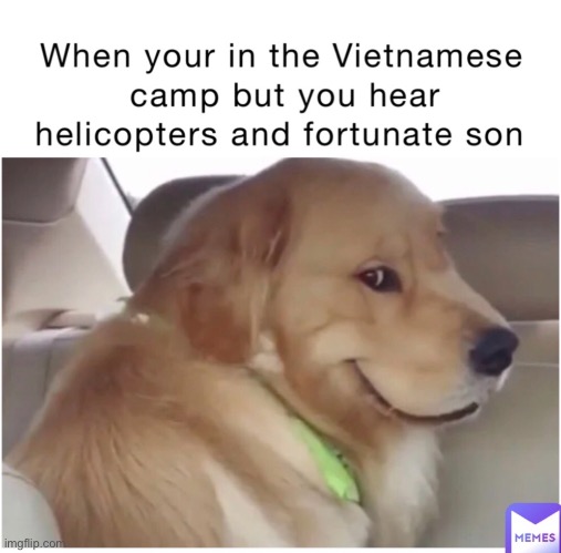 It ain’t me | image tagged in bad pun dog | made w/ Imgflip meme maker