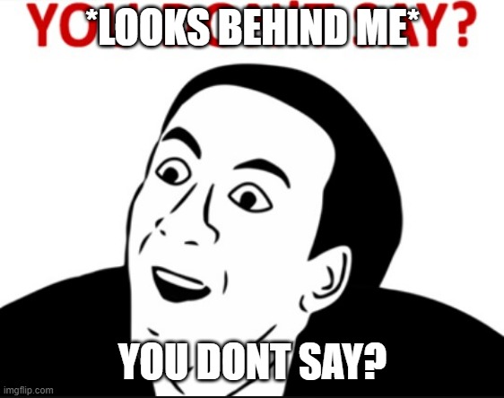 you dont say | *LOOKS BEHIND ME* YOU DONT SAY? | image tagged in you dont say | made w/ Imgflip meme maker