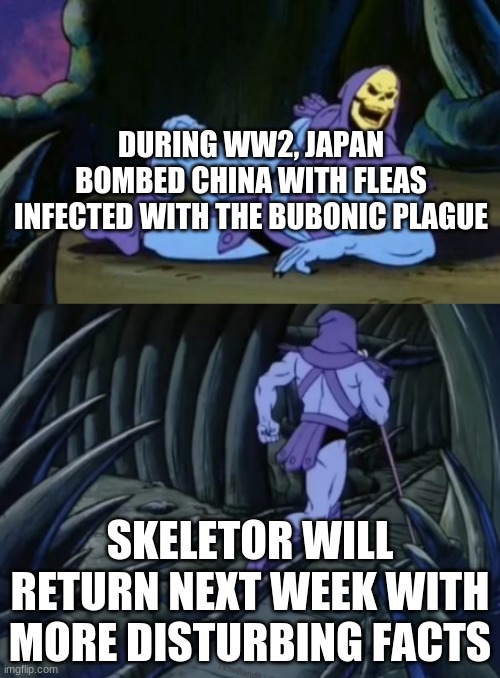 I'm not making this up | DURING WW2, JAPAN BOMBED CHINA WITH FLEAS INFECTED WITH THE BUBONIC PLAGUE; SKELETOR WILL RETURN NEXT WEEK WITH MORE DISTURBING FACTS | image tagged in disturbing facts skeletor | made w/ Imgflip meme maker