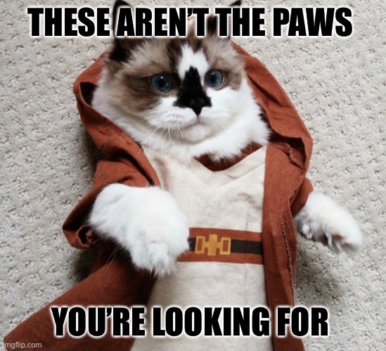 Use the Force Obiwan | THESE AREN’T THE PAWS; YOU’RE LOOKING FOR | image tagged in funny cats,star wars,funny memes,cute cat | made w/ Imgflip meme maker
