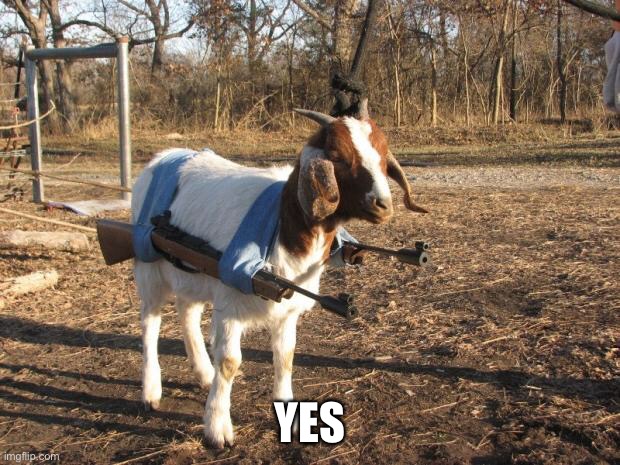 Call of Duty Goat | YES | image tagged in call of duty goat | made w/ Imgflip meme maker