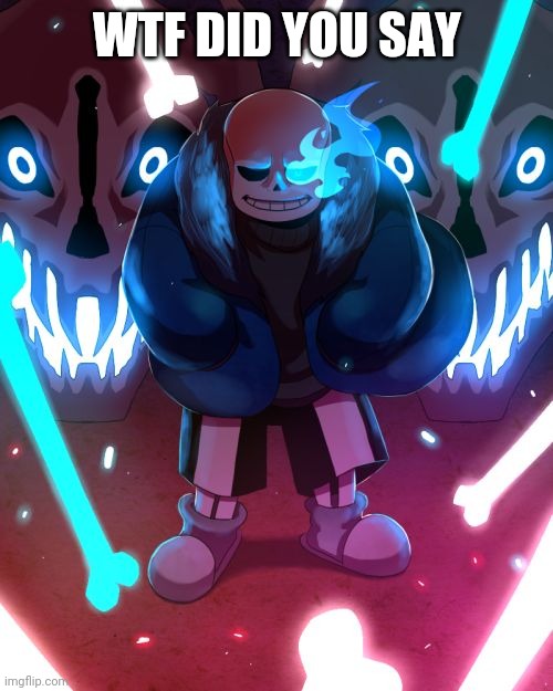 Sans Undertale | WTF DID YOU SAY | image tagged in sans undertale | made w/ Imgflip meme maker