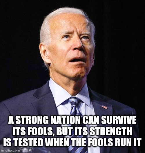 Joe Biden | A STRONG NATION CAN SURVIVE ITS FOOLS, BUT ITS STRENGTH IS TESTED WHEN THE FOOLS RUN IT | image tagged in joe biden | made w/ Imgflip meme maker