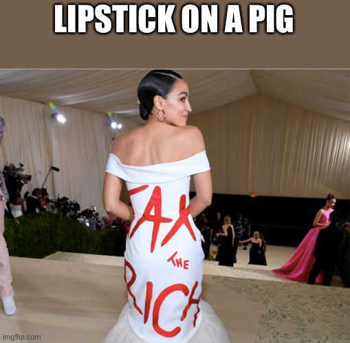 Lipstick on a pig! | LIPSTICK ON A PIG | image tagged in aoc,dress,met gala,lipstick | made w/ Imgflip meme maker