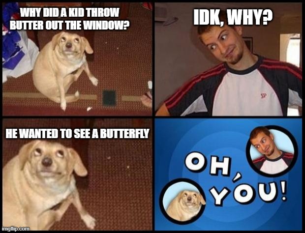 I hate this meme so much | WHY DID A KID THROW BUTTER OUT THE WINDOW? IDK, WHY? HE WANTED TO SEE A BUTTERFLY | image tagged in oh you,bad pun dog | made w/ Imgflip meme maker