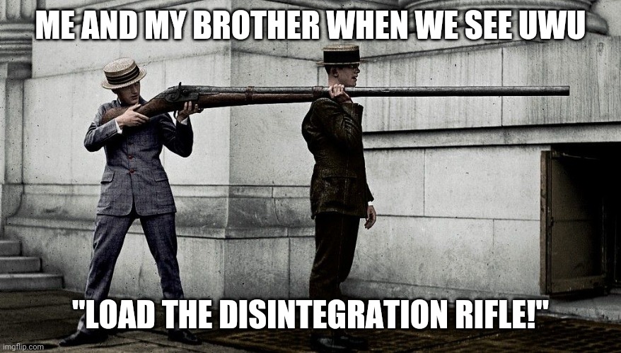 ME AND MY BROTHER WHEN WE SEE UWU "LOAD THE DISINTEGRATION RIFLE!" | made w/ Imgflip meme maker
