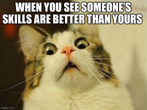 Scared Cat | WHEN YOU SEE SOMEONE’S SKILLS ARE BETTER THAN YOURS | image tagged in memes,scared cat | made w/ Imgflip meme maker