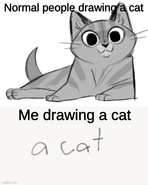 Normal people drawing a cat; Me drawing a cat | image tagged in cats,memes,drawing | made w/ Imgflip meme maker