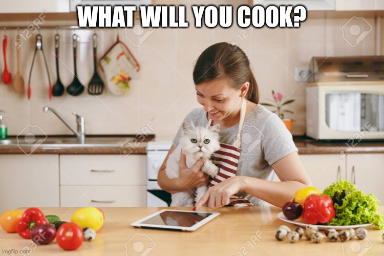 Cat FML | WHAT WILL YOU COOK? | image tagged in cat fml | made w/ Imgflip meme maker