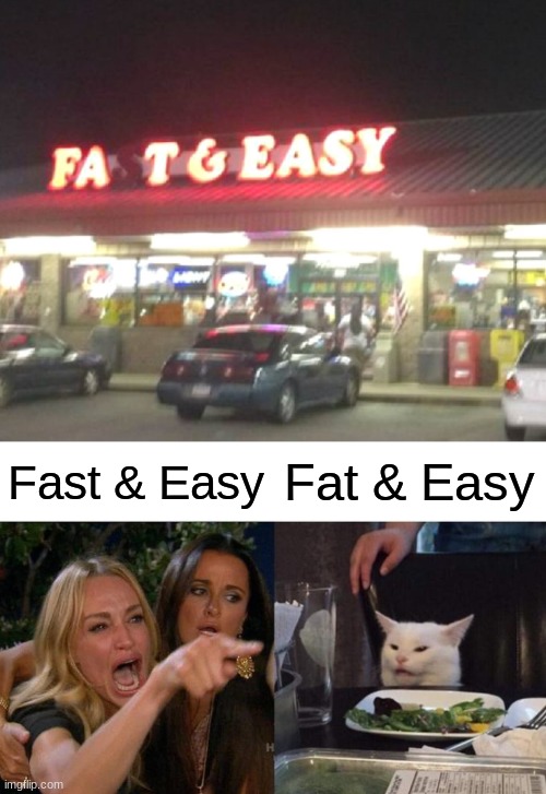 Which one is it? | Fast & Easy; Fat & Easy | image tagged in memes,woman yelling at cat,neon lights,signs,fail,you had one job | made w/ Imgflip meme maker