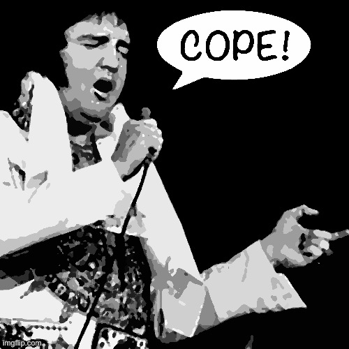 [Fat Elvis plays the hits] | image tagged in fat elvis cope | made w/ Imgflip meme maker