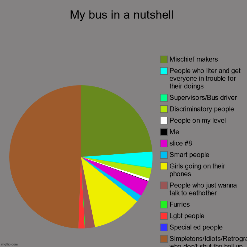 My bus | My bus in a nutshell | Simpletons/Idiots/Retrogrades/Ingrates/People who don't shut the hell up, Special ed people, Lgbt people, Furries, Pe | image tagged in charts,pie charts | made w/ Imgflip chart maker