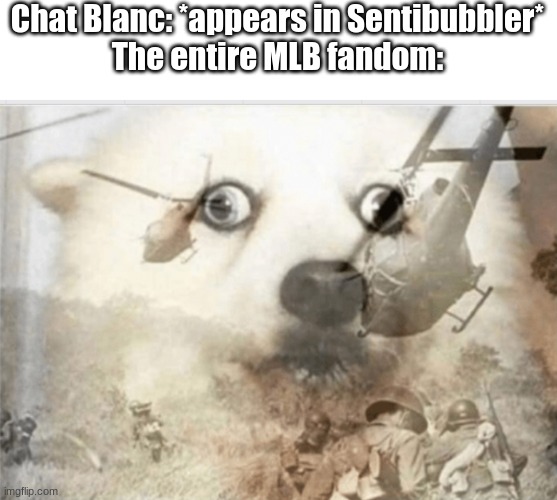 If this isn't true, then I don't know what is. | Chat Blanc: *appears in Sentibubbler*
The entire MLB fandom: | image tagged in ptsd dog | made w/ Imgflip meme maker