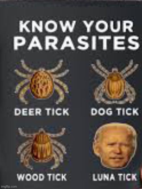 Know your parasites | image tagged in i,cant,believe,your,reading,these | made w/ Imgflip meme maker