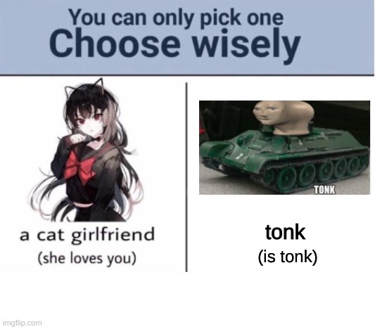 i would choose tonk |  tonk; (is tonk) | image tagged in choose wisely,oh wow are you actually reading these tags | made w/ Imgflip meme maker