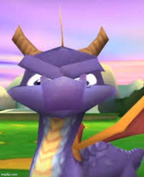 Spyro Death Stare | image tagged in spyro death stare | made w/ Imgflip meme maker