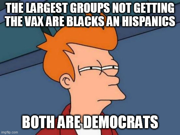 Futurama Fry | THE LARGEST GROUPS NOT GETTING THE VAX ARE BLACKS AN HISPANICS; BOTH ARE DEMOCRATS | image tagged in memes,futurama fry | made w/ Imgflip meme maker