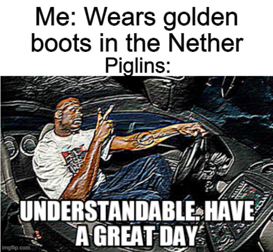 UNDERSTANDABLE, HAVE A GREAT DAY | Me: Wears golden boots in the Nether; Piglins: | image tagged in understandable have a great day | made w/ Imgflip meme maker
