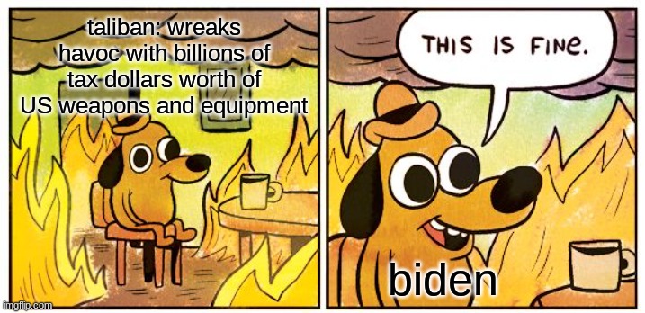 This Is Fine | taliban: wreaks havoc with billions of tax dollars worth of US weapons and equipment; biden | image tagged in memes,this is fine | made w/ Imgflip meme maker