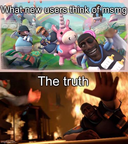 Bye new user.  Please stay in a safe place | What new users think of msmg; The truth | image tagged in imagination vs reality | made w/ Imgflip meme maker