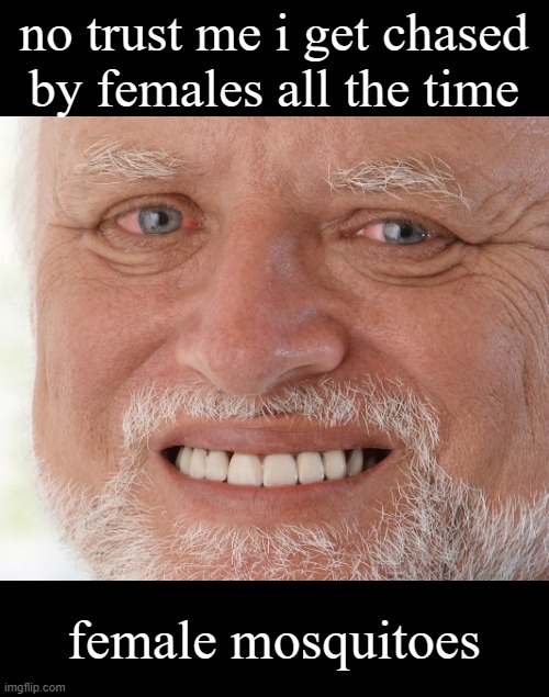 Hide the Pain Harold | no trust me i get chased by females all the time female mosquitoes | image tagged in hide the pain harold | made w/ Imgflip meme maker