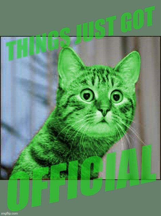 RayCat WTF | THINGS JUST GOT OFFICIAL | image tagged in raycat wtf | made w/ Imgflip meme maker
