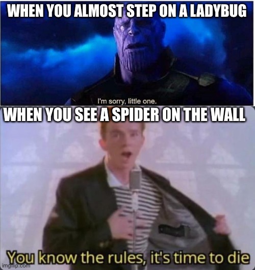 WHEN YOU ALMOST STEP ON A LADYBUG; WHEN YOU SEE A SPIDER ON THE WALL | image tagged in thanos i'm sorry little one,you know the rules it's time to die | made w/ Imgflip meme maker