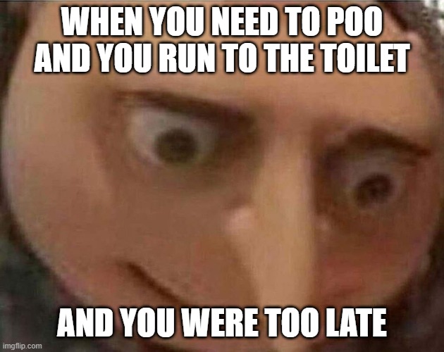 gru meme | WHEN YOU NEED TO POO AND YOU RUN TO THE TOILET; AND YOU WERE TOO LATE | image tagged in gru meme | made w/ Imgflip meme maker
