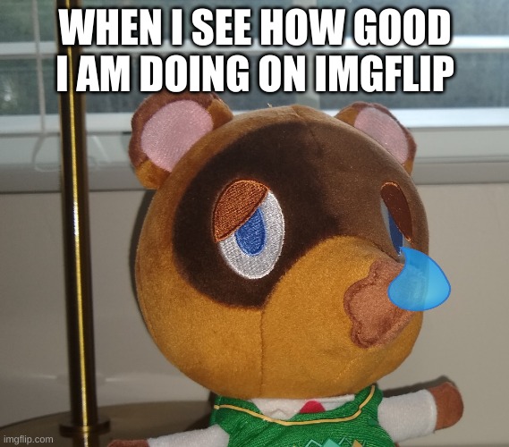why do I suck on this website | WHEN I SEE HOW GOOD I AM DOING ON IMGFLIP | image tagged in plushie tom nook | made w/ Imgflip meme maker