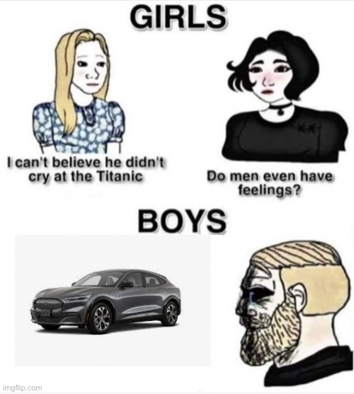 Do men even have feelings | image tagged in do men even have feelings,cars,mach e,mustang,sports cars | made w/ Imgflip meme maker