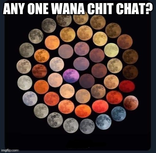 plz | ANY ONE WANA CHIT CHAT? | image tagged in yay | made w/ Imgflip meme maker