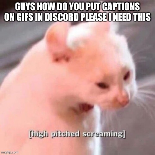 [high pitched screaming] | GUYS HOW DO YOU PUT CAPTIONS ON GIFS IN DISCORD PLEASE I NEED THIS | image tagged in high pitched screaming | made w/ Imgflip meme maker