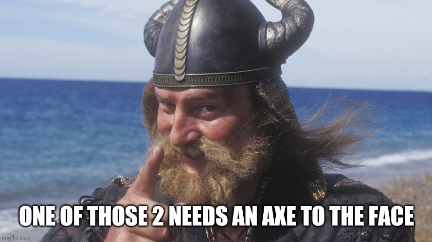 HELL YES VIKING | ONE OF THOSE 2 NEEDS AN AXE TO THE FACE | image tagged in hell yes viking | made w/ Imgflip meme maker