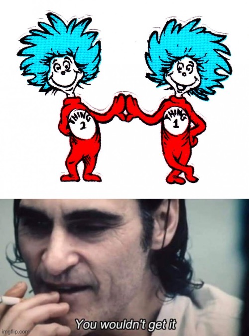 Thing thing you wouldn’t get it | image tagged in thing 1 and thing 2,you wouldn't get it,thing 1,thing 2 | made w/ Imgflip meme maker