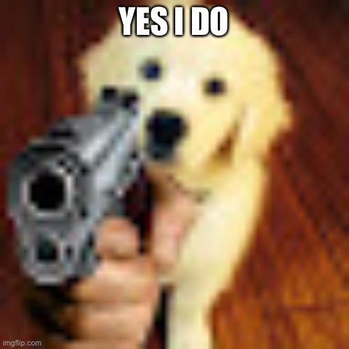 Dog gun | YES I DO | image tagged in dog gun | made w/ Imgflip meme maker