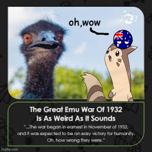 Furret explaining the great Emu war for another 15 seconds........... | oh,wow | image tagged in meanwhile in australia,emu,furret,i can explain | made w/ Imgflip meme maker