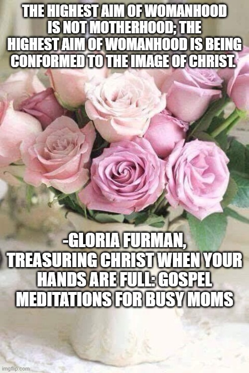 mother's day | THE HIGHEST AIM OF WOMANHOOD IS NOT MOTHERHOOD; THE HIGHEST AIM OF WOMANHOOD IS BEING CONFORMED TO THE IMAGE OF CHRIST. -GLORIA FURMAN, TREASURING CHRIST WHEN YOUR HANDS ARE FULL: GOSPEL MEDITATIONS FOR BUSY MOMS | image tagged in mother's day | made w/ Imgflip meme maker