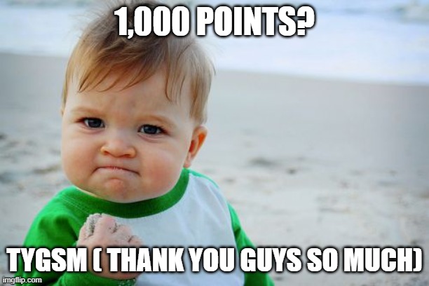 Success Kid Original | 1,000 POINTS? TYGSM ( THANK YOU GUYS SO MUCH) | image tagged in memes,success kid original | made w/ Imgflip meme maker