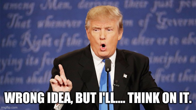 Donald Trump Wrong | WRONG IDEA, BUT I'LL.... THINK ON IT. | image tagged in donald trump wrong | made w/ Imgflip meme maker