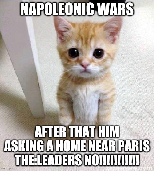 Cute Cat Meme | NAPOLEONIC WARS; AFTER THAT HIM ASKING A HOME NEAR PARIS THE:LEADERS NO!!!!!!!!!!! | image tagged in memes,cute cat | made w/ Imgflip meme maker