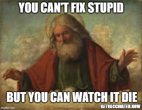 Can't fix stupid | YOU CAN'T FIX STUPID; BUT YOU CAN WATCH IT DIE; GETVACCINATED.NOW | image tagged in god | made w/ Imgflip meme maker