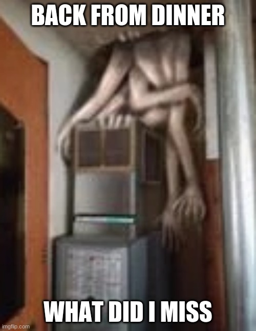 Clump | BACK FROM DINNER; WHAT DID I MISS | image tagged in clump | made w/ Imgflip meme maker