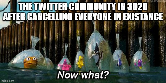 I wonder if Twitter would still exist in 3020 | THE TWITTER COMMUNITY IN 3020 AFTER CANCELLING EVERYONE IN EXISTANCE | image tagged in now what,twitter | made w/ Imgflip meme maker