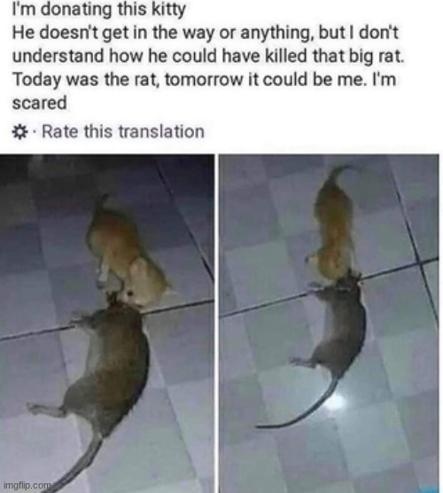 Mittens, Slayer of Titans | made w/ Imgflip meme maker