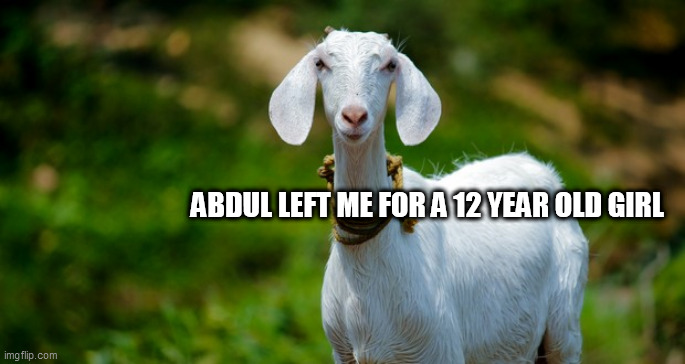 Lonley goat | ABDUL LEFT ME FOR A 12 YEAR OLD GIRL | image tagged in lonley goat | made w/ Imgflip meme maker