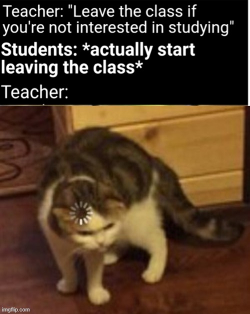 wot | image tagged in loading cat | made w/ Imgflip meme maker