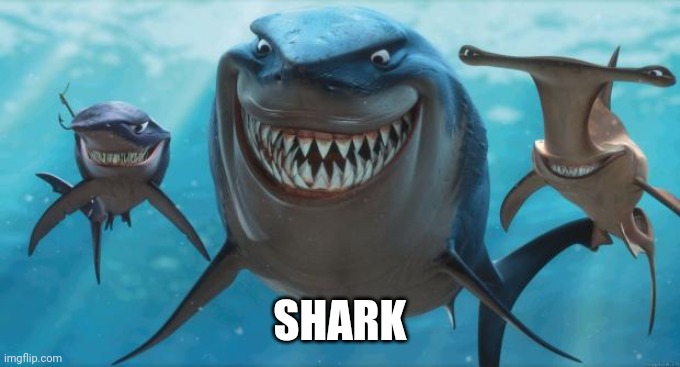 Finding Nemo Sharks | SHARK | image tagged in finding nemo sharks | made w/ Imgflip meme maker