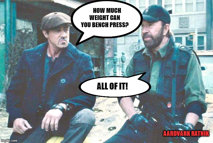 Chuck & Sly | HOW MUCH WEIGHT CAN YOU BENCH PRESS? ALL OF IT! AARDVARK RATNIK | image tagged in funny memes,chuck norris | made w/ Imgflip meme maker